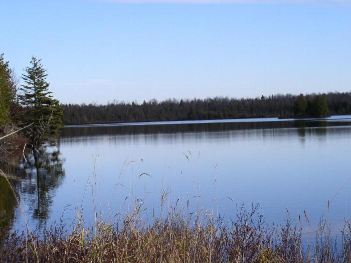 Cedar Lake Nature Sanctuary
